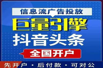 搜索引擎优化（SEO）与竞价广告（SEM）的对比案例